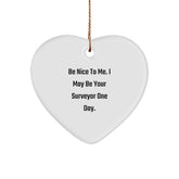 Funny Surveyor Gifts, Heart Ornament, Be Nice To Me - Unique Christmas Memorable Presents for Surveyor Friends and Family - Image 1